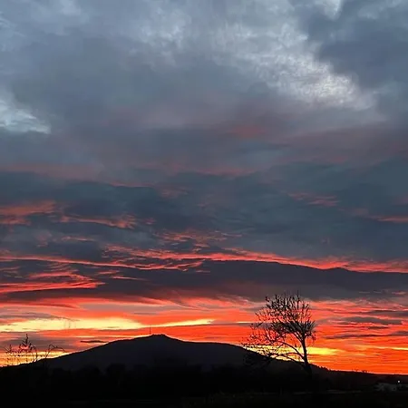 아파트 Monte Sleza & *