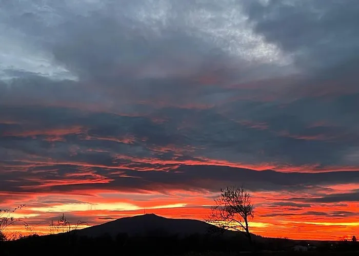 Apartament Monte ślęża&spa *